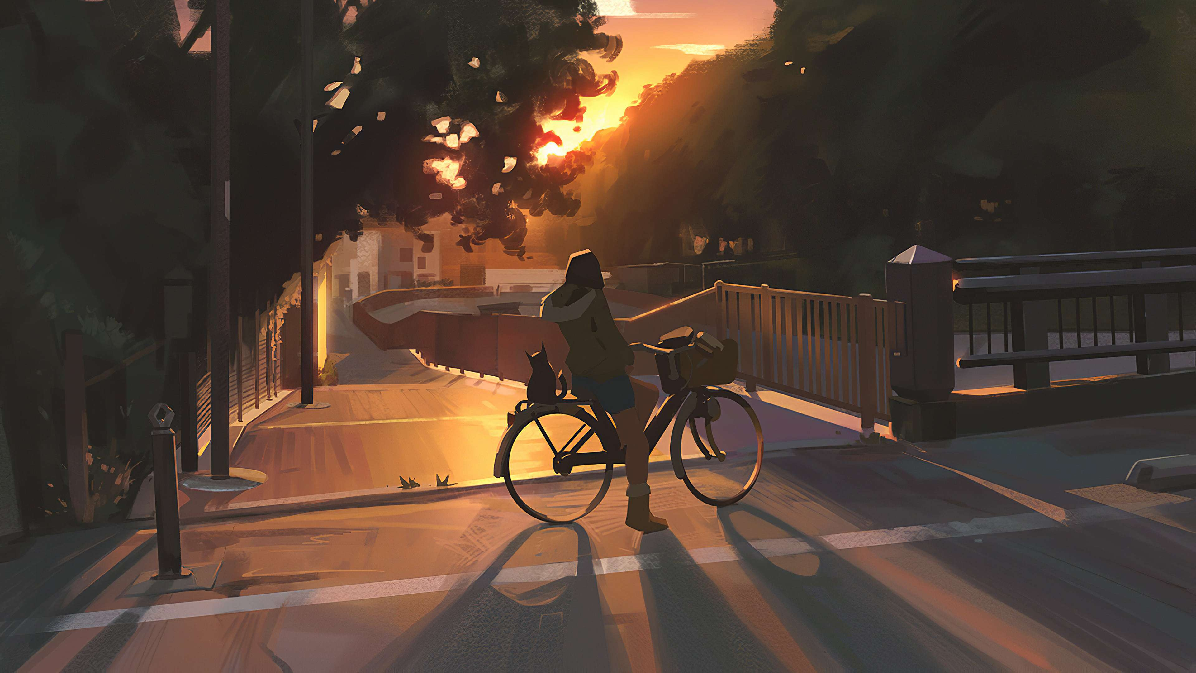 bike-and-a-cat