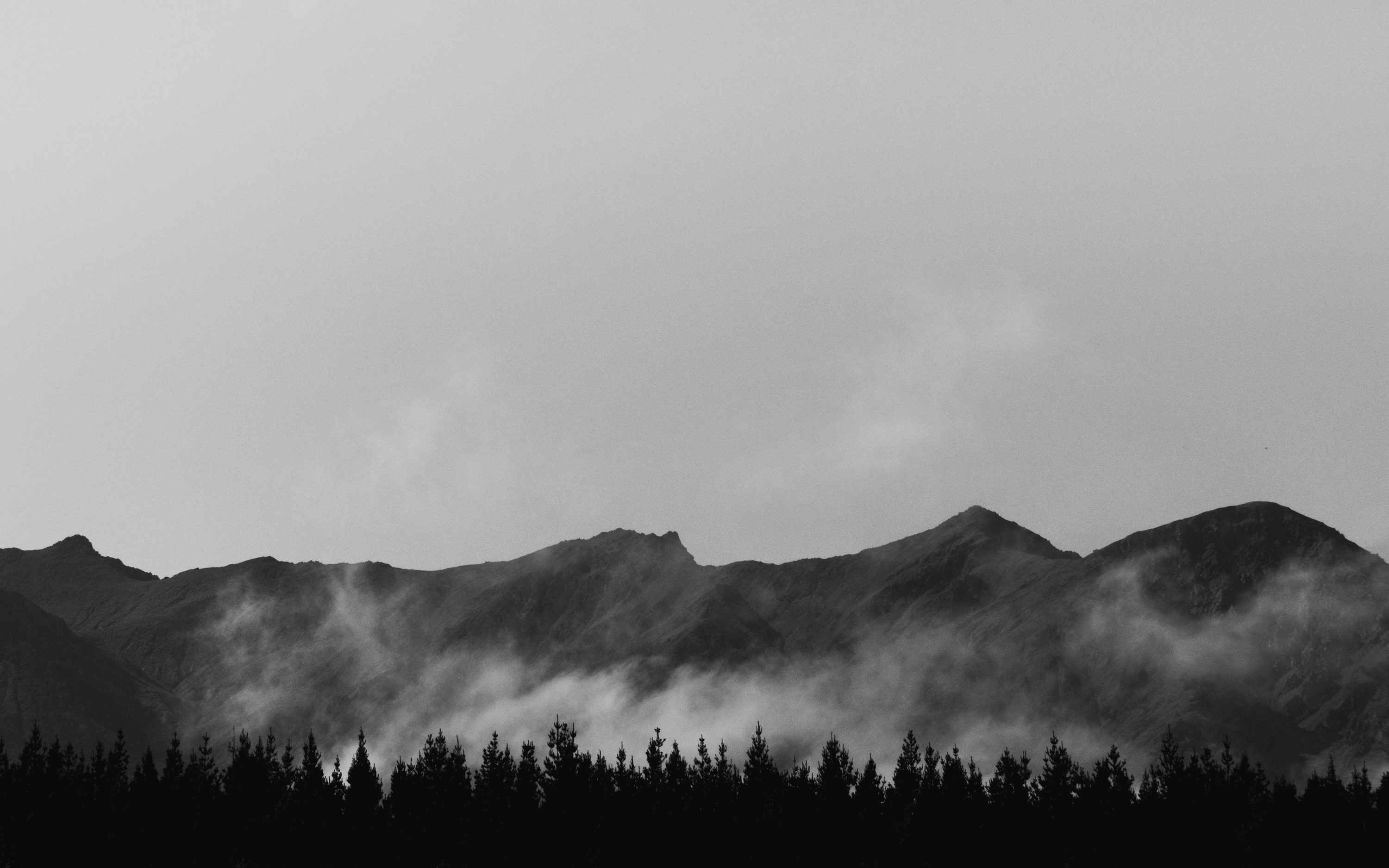 black-grey-and-white