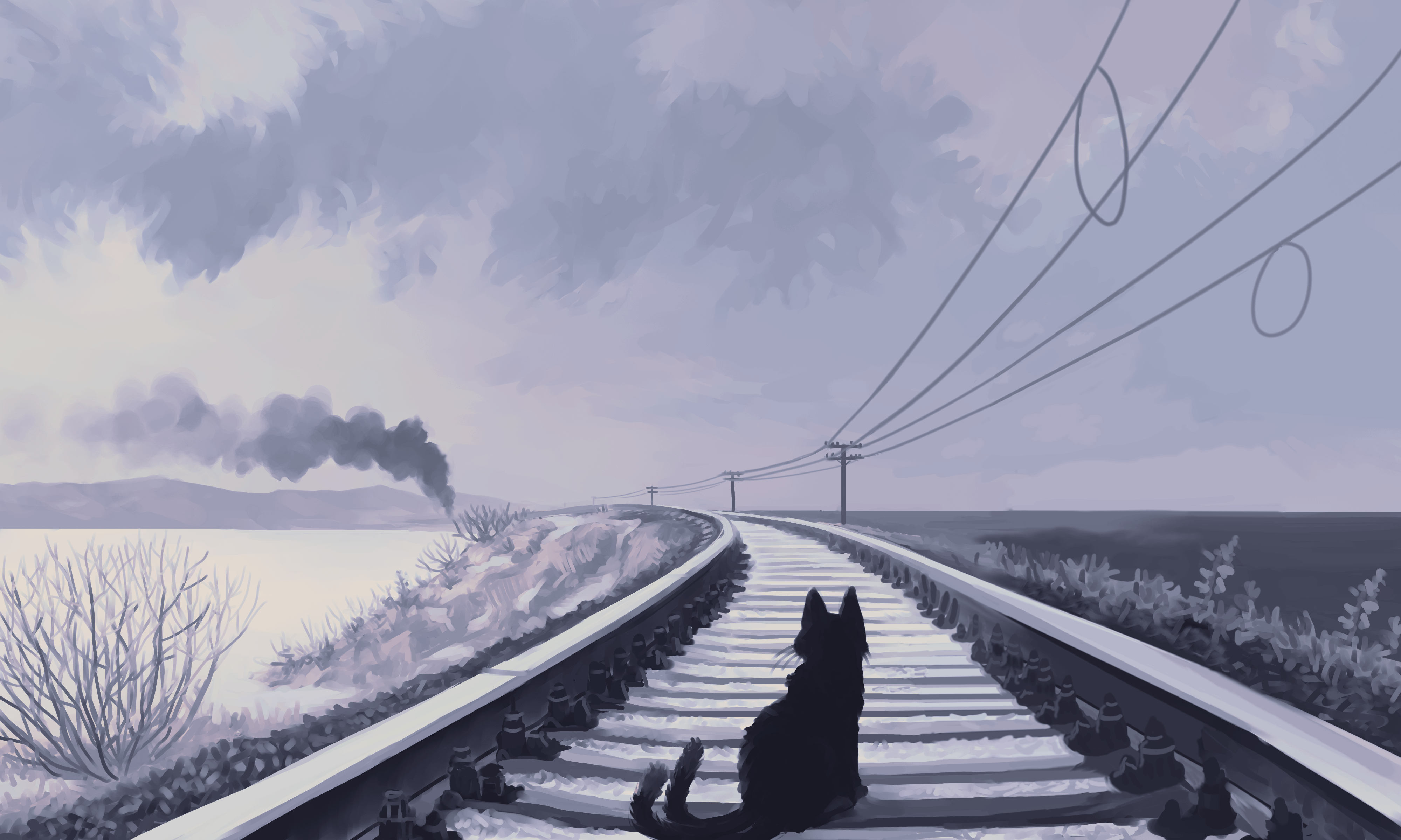 railroad-cat
