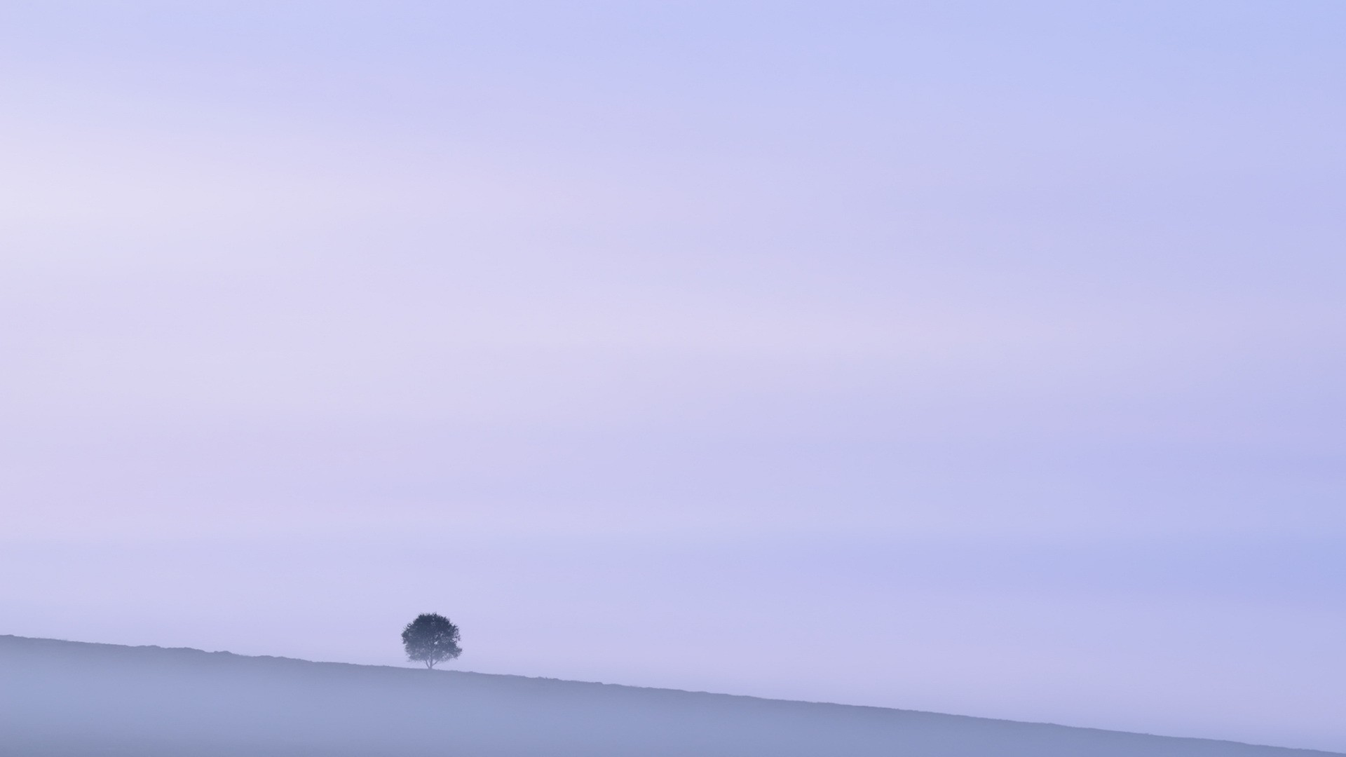 white-snow-and-a-tree