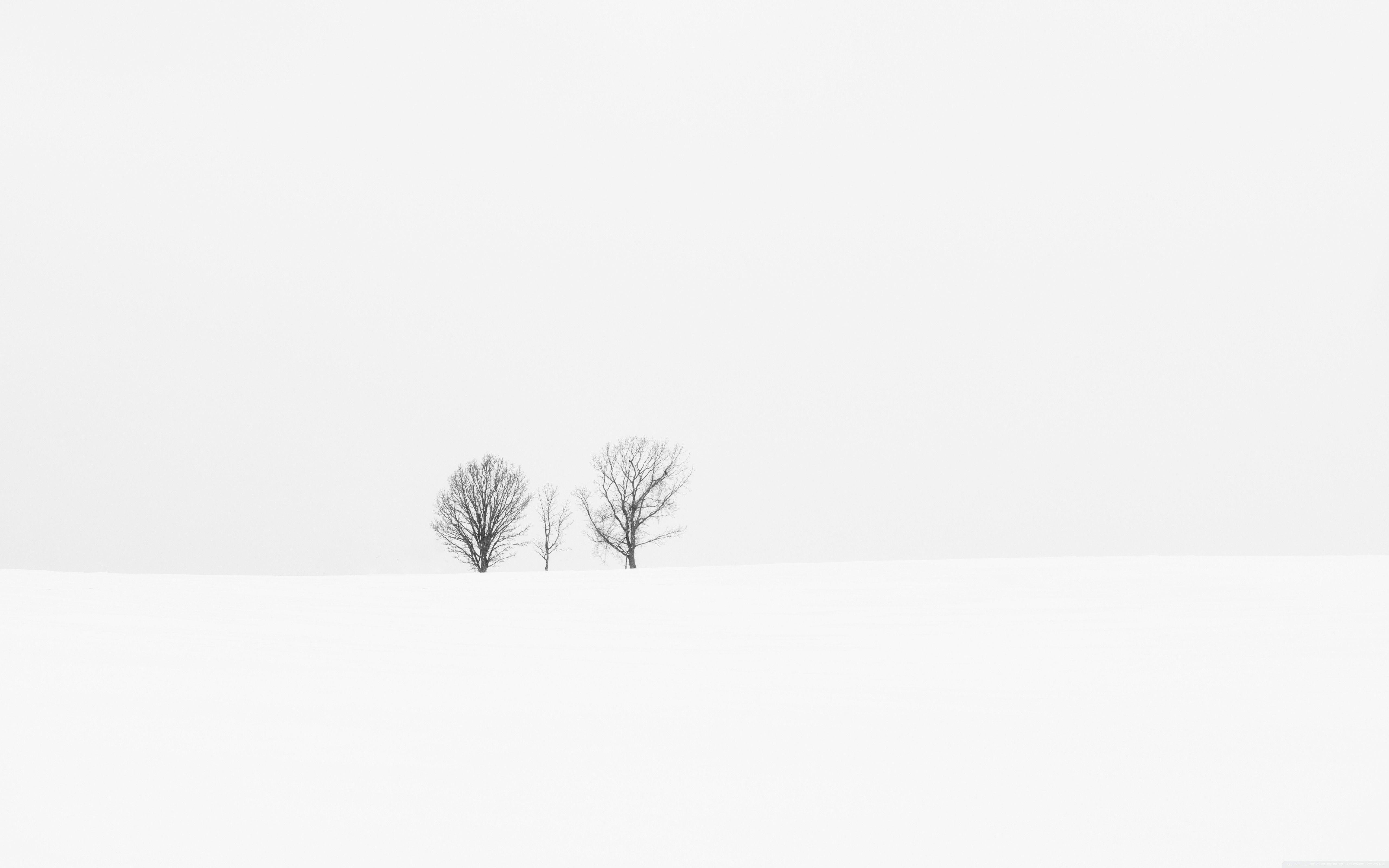snow-and-a-tree_white