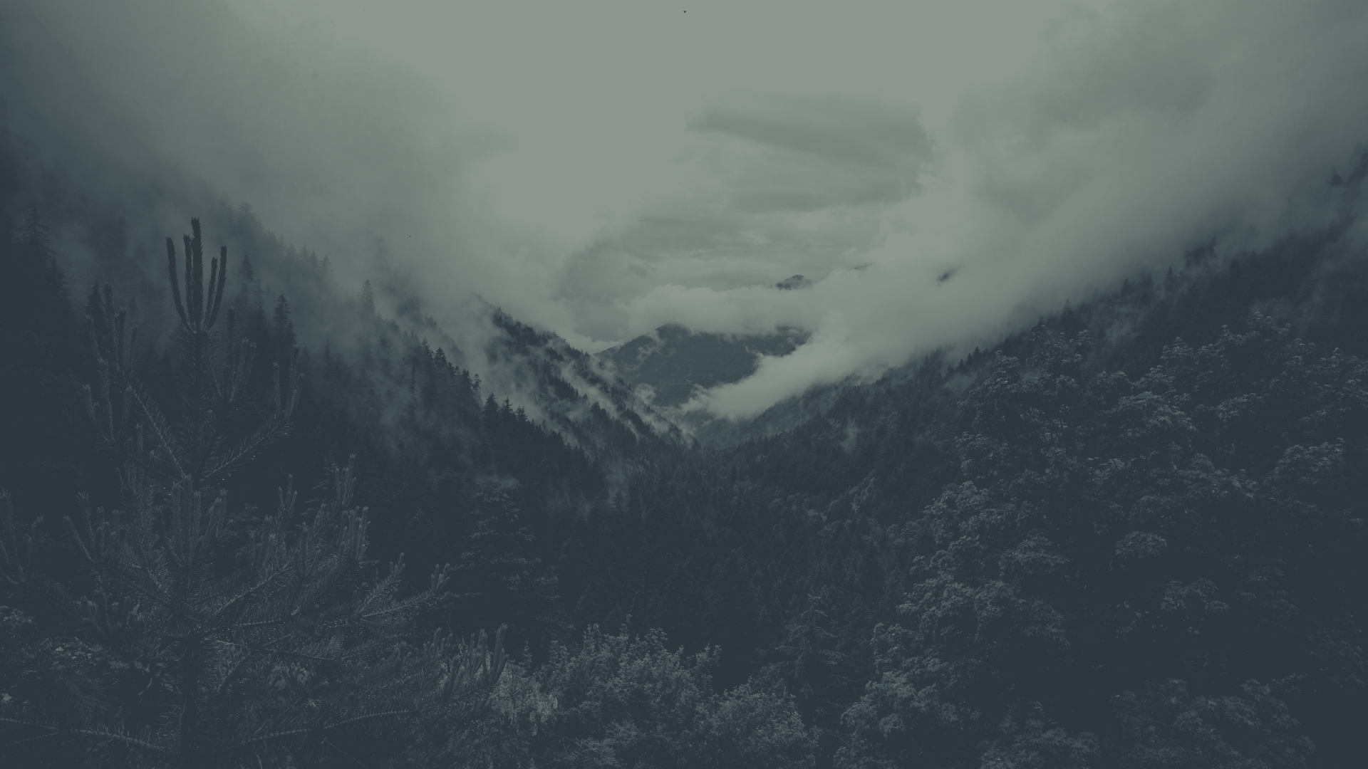 forest-mountains-and-cloud_dark_black-and-white