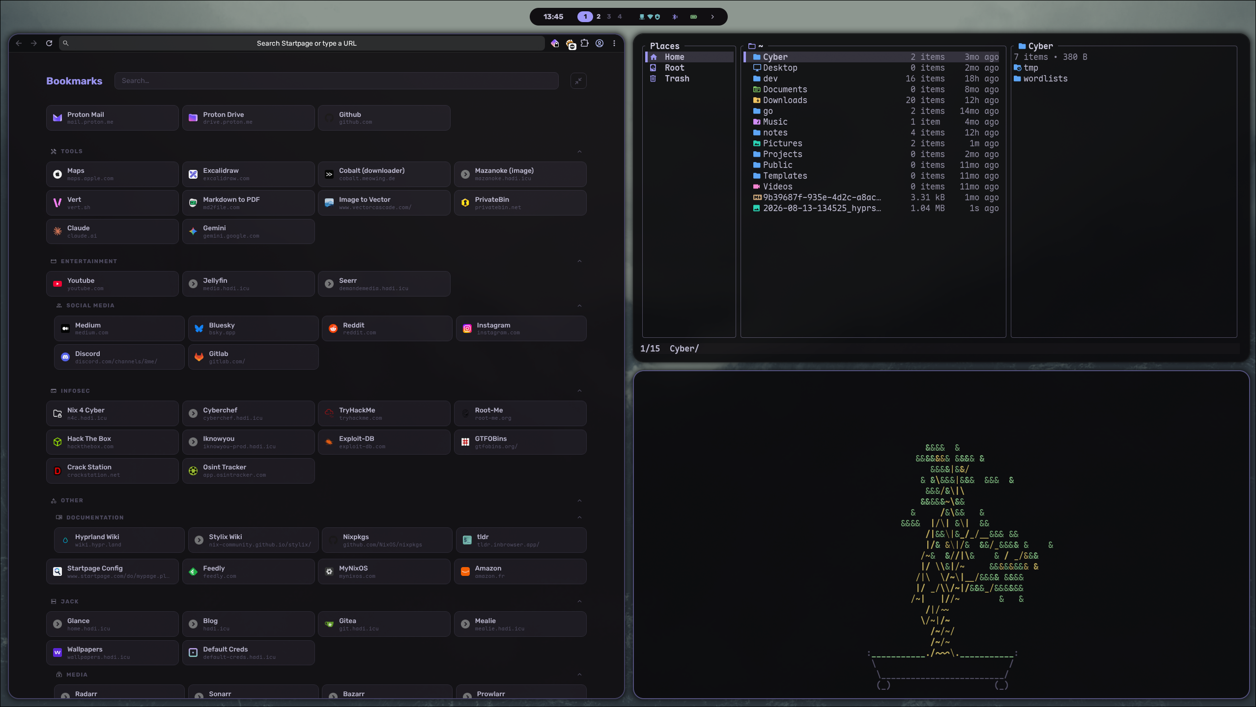 Browser and file explorer